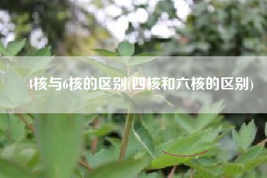 4核与6核的区别(四核和六核的区别)
