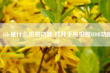 hdr是什么拍照功能(打开手机拍照HDR功能)