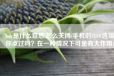 hdr是什么意思,怎么关闭(手机的HDR选项你点过吗？在一种情况下可是有大作用)