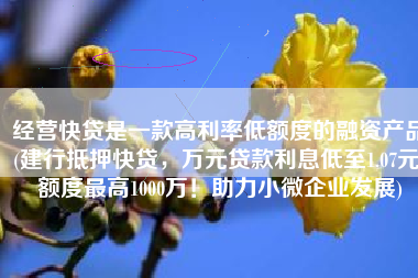 经营快贷是一款高利率低额度的融资产品(建行抵押快贷，万元贷款利息低至1.07元！额度最高1000万！助力小微企业发展)