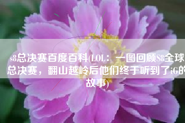 s8总决赛百度百科(LOL：一图回顾S8全球总决赛，翻山越岭后他们终于听到了iG的故事)