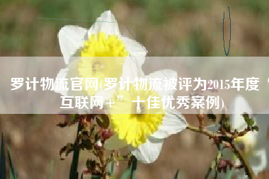 罗计物流官网(罗计物流被评为2015年度“互联网+”十佳优秀案例)