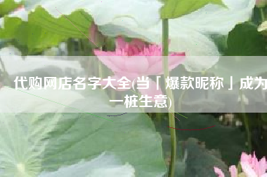 代购网店名字大全(当「爆款昵称」成为一桩生意)