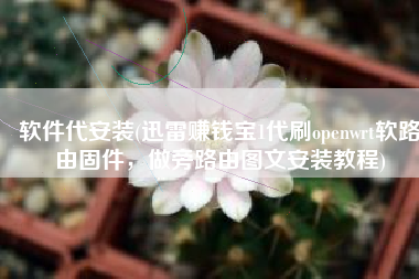 软件代安装(迅雷赚钱宝1代刷openwrt软路由固件，做旁路由图文安装教程)