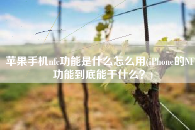 苹果手机nfc功能是什么怎么用(iPhone的NFC功能到底能干什么？)