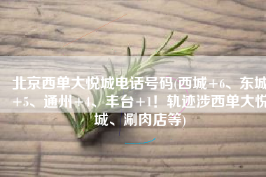 北京西单大悦城电话号码(西城+6、东城+5、通州+4、丰台+1！轨迹涉西单大悦城、涮肉店等)