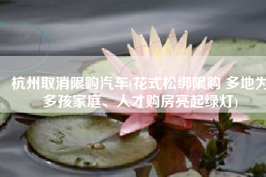 杭州取消限购汽车(花式松绑限购 多地为多孩家庭、人才购房亮起绿灯)