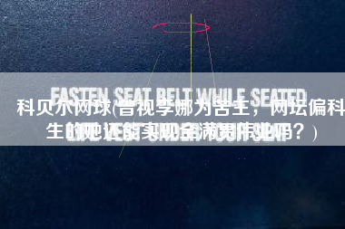科贝尔网球(曾视李娜为苦主，网坛偏科生的她还能实现全满贯伟业吗？)