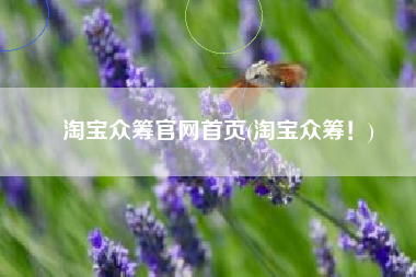 淘宝众筹官网首页(淘宝众筹！)