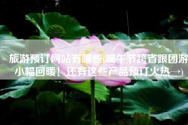 旅游预订网站有哪些(端午节跨省跟团游小幅回暖！还有这些产品预订火热→)