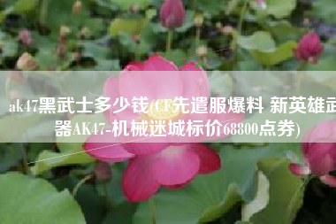 ak47黑武士多少钱(CF先遣服爆料 新英雄武器AK47-机械迷城标价68800点券)