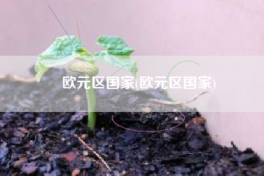 欧元区国家(欧元区国家)