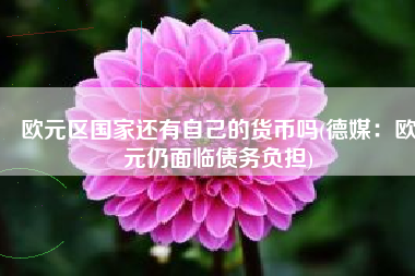 欧元区国家还有自己的货币吗(德媒：欧元仍面临债务负担)