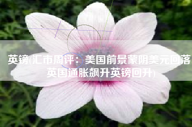 英镑(汇市周评：美国前景蒙阴美元回落，英国通胀飙升英镑回升)
