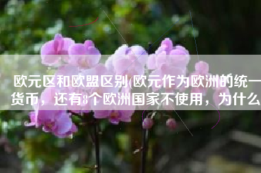 欧元区和欧盟区别(欧元作为欧洲的统一货币，还有8个欧洲国家不使用，为什么)