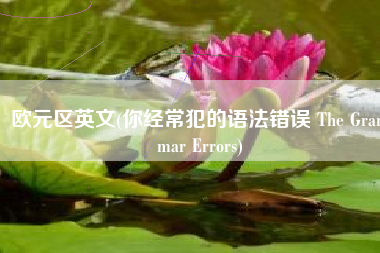 欧元区英文(你经常犯的语法错误 The Grammar Errors)