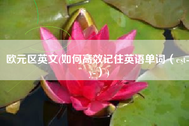 欧元区英文(如何高效记住英语单词（est-ey-）)