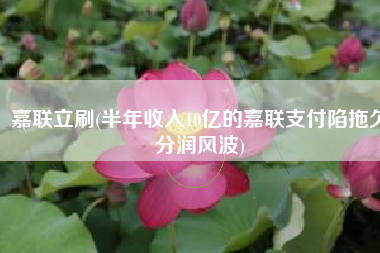 嘉联立刷(半年收入10亿的嘉联支付陷拖欠分润风波)