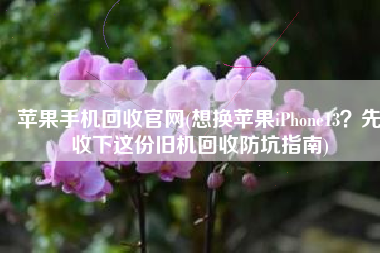 苹果手机回收官网(想换苹果iPhone13？先收下这份旧机回收防坑指南)