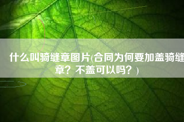 什么叫骑缝章图片(合同为何要加盖骑缝章？不盖可以吗？)