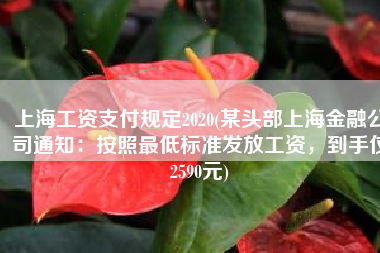 上海工资支付规定2020(某头部上海金融公司通知：按照最低标准发放工资，到手仅2590元)