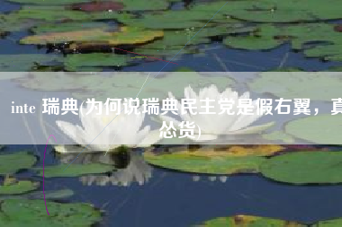 inte 瑞典(为何说瑞典民主党是假右翼，真怂货)