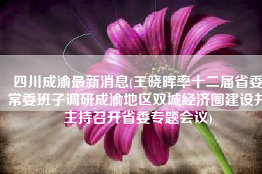 四川成渝最新消息(王晓晖率十二届省委常委班子调研成渝地区双城经济圈建设并主持召开省委专题会议)