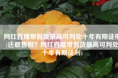网红直播带假货最高可判处十年有期徒刑(还敢售假？网红直播带假货最高可判处十年有期徒刑)