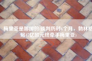 梅里亚是哪国的(谈判历时6个月，勃林格贴47亿欧元终牵手梅里亚)