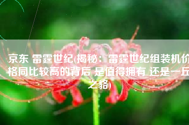 京东 雷霆世纪(揭秘：雷霆世纪组装机价格同比较高的背后 是值得拥有 还是一丘之貉)