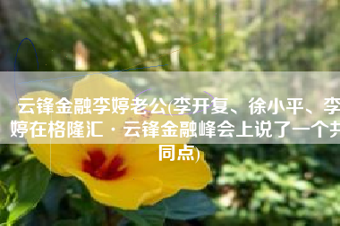 云锋金融李婷老公(李开复、徐小平、李婷在格隆汇·云锋金融峰会上说了一个共同点)