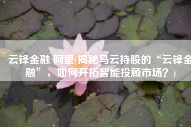 云锋金融 阿里(揭秘马云持股的“云锋金融”，如何开拓智能投顾市场？)