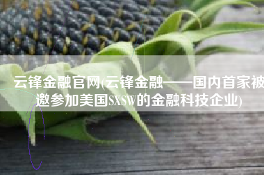 云锋金融官网(云锋金融——国内首家被邀参加美国SXSW的金融科技企业)