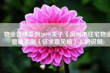物业管理条例2019(关于《滨州市住宅物业管理条例（征求意见稿）》的说明)