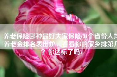 养老保险哪种最好大家保险(31个省份人均养老金排名表出炉，看看你的家乡排第几？你达标了吗)