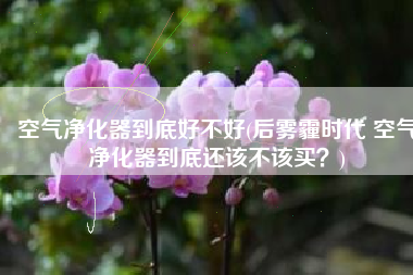 空气净化器到底好不好(后雾霾时代 空气净化器到底还该不该买？)