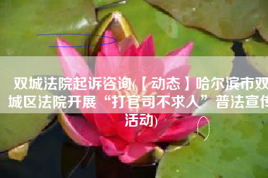 双城法院起诉咨询(【动态】哈尔滨市双城区法院开展“打官司不求人”普法宣传活动)