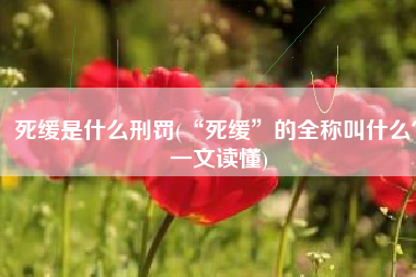 死缓是什么刑罚(“死缓”的全称叫什么？一文读懂)