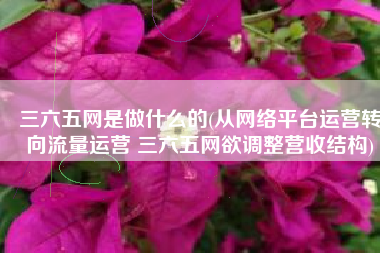 三六五网是做什么的(从网络平台运营转向流量运营 三六五网欲调整营收结构)