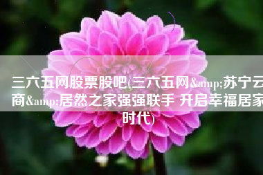 三六五网股票股吧(三六五网&苏宁云商&居然之家强强联手 开启幸福居家时代)