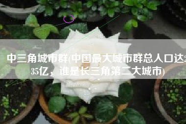 中三角城市群(中国最大城市群总人口达2.35亿，谁是长三角第二大城市)