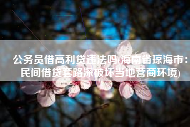 公务员借高利贷违法吗(海南省琼海市：民间借贷套路深破坏当地营商环境)