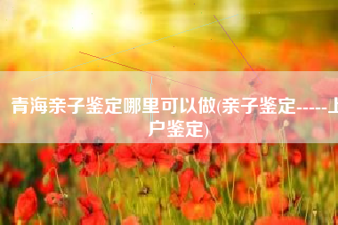 青海亲子鉴定哪里可以做(亲子鉴定-----上户鉴定)