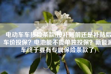 电动车车损险条款(按补贴前还是补贴后车价投保？电池能不能单独投保？新能源车终于要有专属保险条款了)