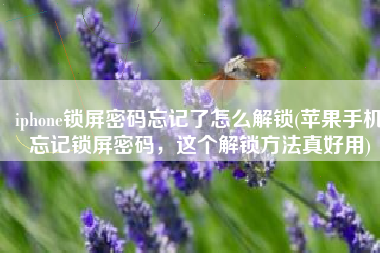 iphone锁屏密码忘记了怎么解锁(苹果手机忘记锁屏密码，这个解锁方法真好用)