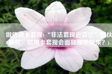 做信用卡套现(“非法套现近百亿”团伙被抓，信用卡套现会面临哪些后果？)