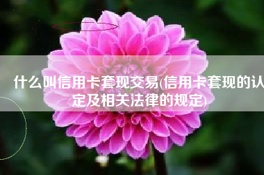 什么叫信用卡套现交易(信用卡套现的认定及相关法律的规定)