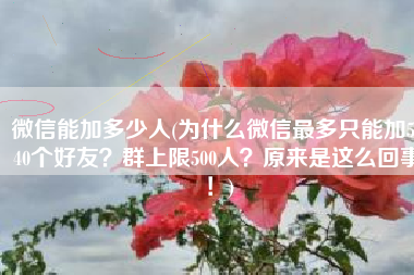 微信能加多少人(为什么微信最多只能加5040个好友？群上限500人？原来是这么回事！)