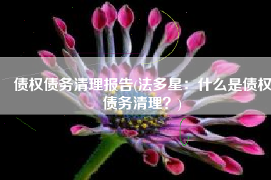 债权债务清理报告(法多星：什么是债权债务清理？)