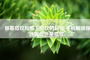 屏幕指纹和屏下指纹的区别(手机解锁你选面部还是指纹)